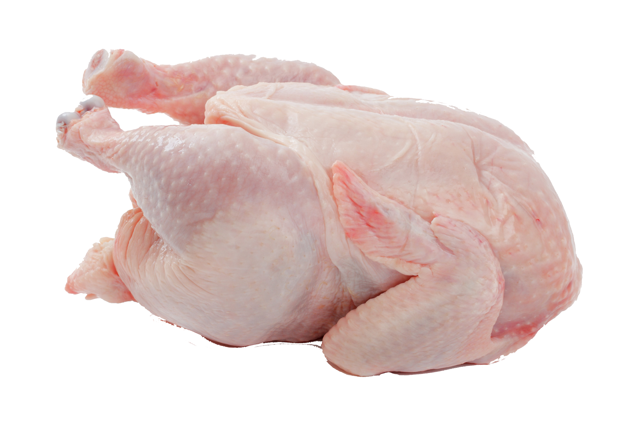 Chicken Meat